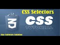 How To Use CSS Selectors, The CSS class Selector, The CSS Universal Selector