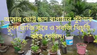 বিনা খরচে আমাদের ছোট্ট ছাদ বাগানের পুঁইশাক🍀 || নতুন সংসারে ছোট ছোট ভালোলাগা গুলো এখান থেকেই শুরু 💝💖