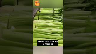 세상에서 가장 날카로운 물질