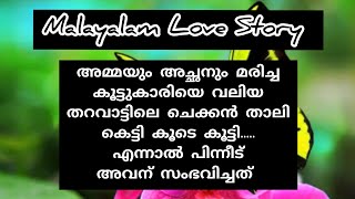 ഇടുപ്പോളം എത്തിനിൽക്കുന്ന അവളുടെ മുടി വെറുതെ കോതികൊടുക്കുവാൻ അയാൾക്ക് | Malayalam Love Story