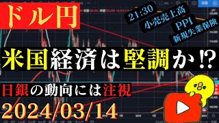 【ドル円】CPI上振れも上値は重い。本日21:30経済指標多数！再び動き出す🐥2024/03/12🐥