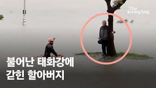 물바다에 갇히자 나무 붙잡고 버텼다…태화강 할아버지 기적