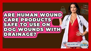 Are Human Wound Care Products Safe To Use On Dog Wounds With Drainage? - Ask A Pet Vet