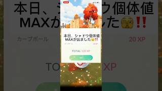 ポケモンgo ハロウィンイベント　ロケット団　シャドウ個体値MAX