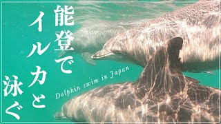 dolphin swim tour in Noto Japan