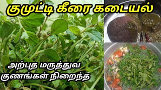 Kumuti Keerai | குமுட்டி கீரை கடையல்