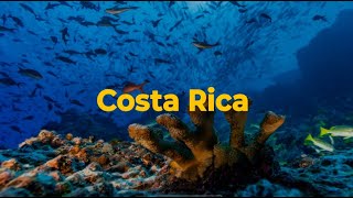 Eco-Friendly Costa Rica: A Journey Through Nature and Sustainability