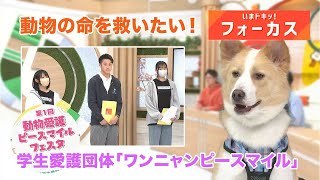 動物の命を救いたい！学生愛護団体「ワンニャンピースマイル」の活動を紹介｜いまドキッ！フォーカス（2024年4月3日放送）