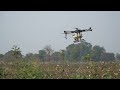 Drone Spraying on a Cotton Crop | Drones can Spray on Multiple Crops