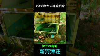 【1分で廃墟紹介】伊豆の廃墟「新河津荘」の見どころ #廃墟 #静岡 #街歩き #伊豆 #観光