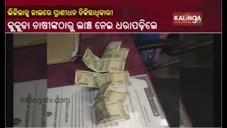 Block Veterinary Officer In Vigilance Net For Taking Bribe In Puri || KalingaTV