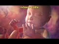 7 8 9 month pregnancy in hindi 3rd trimester of pregnancy baby development 3rd trimester in hindi