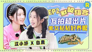 默契姐妹💞：白鹿沈小婷互动好甜！美女贴贴实在太养眼了 鹿鹿开箱飙演技忽悠小婷！俩人为对方拍美美的照片~ EP2|奔跑吧茶马古道篇