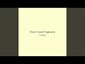 River Forest Fragments