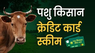 Pashu Kisan Credit Card: क्‍या है पशु किसान क्रेडिट कार्ड स्‍कीम | देखें क्या है फायदे