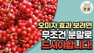 오미자 효능 오미자 분말 갱년기, 치매예방, 면역력 증가