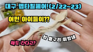 [Show me the 개체!] 이번 대구 렙타일페어 에는 어떤 개체가? (행사마다 개체는 달라집니다)