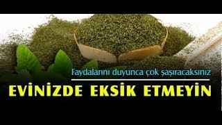 Nanenin Bilmediğiniz Oldukça Çok Etkili Faydaları !!!