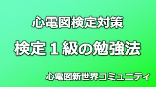 どうやって勉強すればいいか考え中です　心電図検定１級ドタバタ検査技師まえた