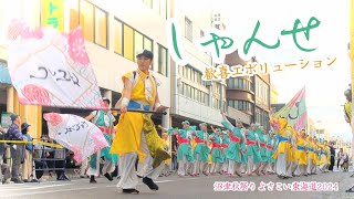 しゃんせ 歓喜エボリューション 沼津秋祭り よさこい東海道2024