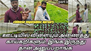 Part 2/ooty and chinese vegetables wholesale/பாகம் 2/ஊட்டி மற்றும் சைனீஸ் காய்கறிகள்/ ooty blog 8