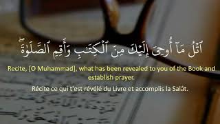 إِنَّ ٱلصَّلَوٰةَ تَنۡهَىٰ عَنِ ٱلۡفَحۡشَآءِ وَٱلۡمُنكَرِ || عبد الرحمن مسعد