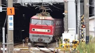 JR貨物　EF510-5貨物列車　RED THUNDER　新大阪駅