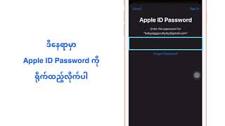 iPhone/iPad setting ထဲမှာ Update Apple ID Settings ဆိုပြီးပေါ်လာရင် ဘယ်လိုလုပ်ရမလဲ? - AskGravity