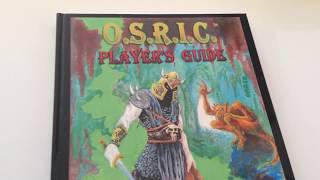 OSRIC Player's Guide