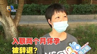 【1818黄金眼】女子入职2个月后怀孕请假起纠纷，两次“通知”都是提醒？