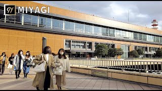 【MIYAGI】Sendai City Walking Tour（Sendai station〜Hapina street） 仙台の街を歩いてみた（仙台駅〜ハピナ名掛丁〜定禅寺通り）【4K】