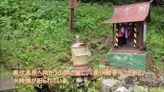 黒伏観音水（東根市観音寺）