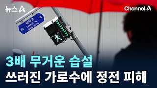 3배 무거운 습설…쓰러진 가로수에 정전 피해 / 채널A / 뉴스A