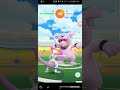 solo granbull