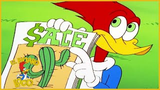 El Pájaro Loco en Español | 1 Hora de Compilación | Dibujos Animados en Españo