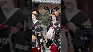 立ち止まってくれた優しい舞妓さん #京都 #舞妓