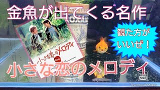 【金魚が出てくる作品シリーズ・part1】小さな恋のメロディ【ピンポンパール】