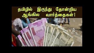 தமிழில் இருந்து வந்த ஆங்கில வார்த்தைகள் English Words That Originated From Tamil | HELLOCITY