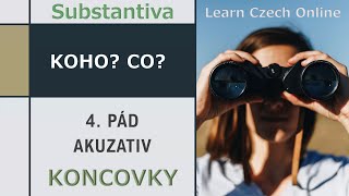 Learn Czech A1/A2: 4th case = the Accusative (endings)