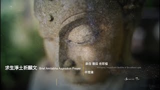 極樂願文 Brief Amitabha Aspiration Prayer （林憶蓮曲唱）高音質