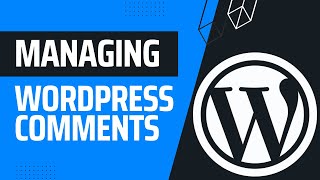 How To Manage Your Comments In WordPress | WordPress Masterclass Part 13