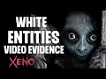 Demons, Ghosts, and Cryptids: Unveiling the Mystery of Their White Appearance