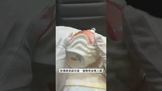 「平民收藏家阿宗」收藏短篇 part10 專業紳士 美女收藏 淑女瓷偶