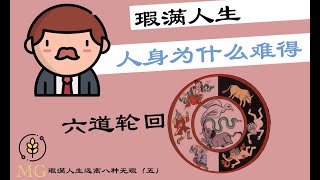 【25闻法】佛法为什么说人身难得？