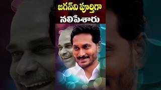 జగన్ కి బర్త్డే వేడుకలు మాములుగా జరగలేదు | #hbdysjagan | YS Jagan Birthday 2024 | Cine Megham