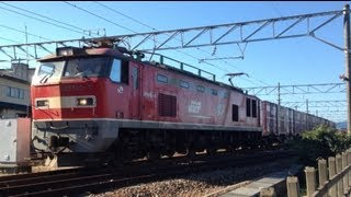 日本海縦貫線貨物列車遅4081レ 牽引機：EF510 9