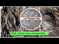 The Blueflower Formation Ediacaran fossils: the earliest Dickinsonia