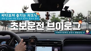 차경이 주행 | ep.09 🚙 초보운전 브이로그 | Drive Vlog 🌃 동네 차크닉 명소에서 물멍하기, 이땐 좋았지... 서울근교 차크닉 추천 | 인천시흥주행영상 | 투싼NX4