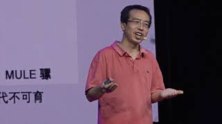 物种之间的“智慧传递” | Kangshan Mao 毛康珊 | TEDxChengdu