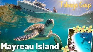 Caribbean Paradise 2024: Mayreau Island and the Tobago Cays (St. Vincent and the